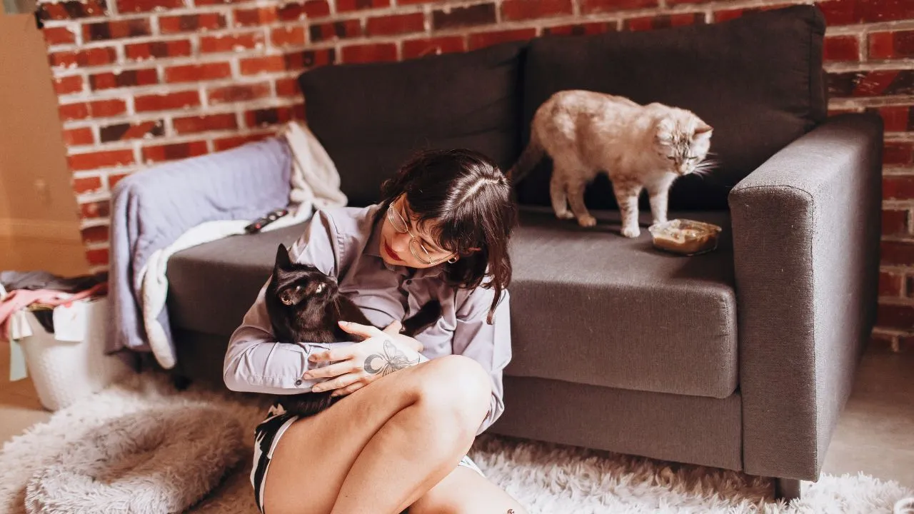 Cadastro de animais Cadastro de animais