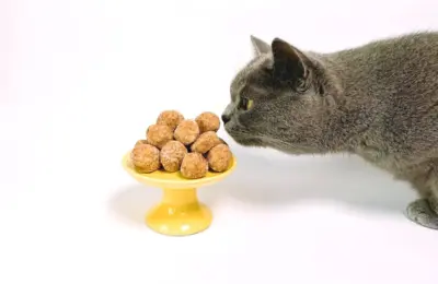 Granulado de tofu para gatos