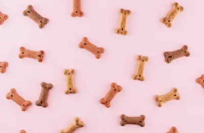 Petiscos naturais para cães