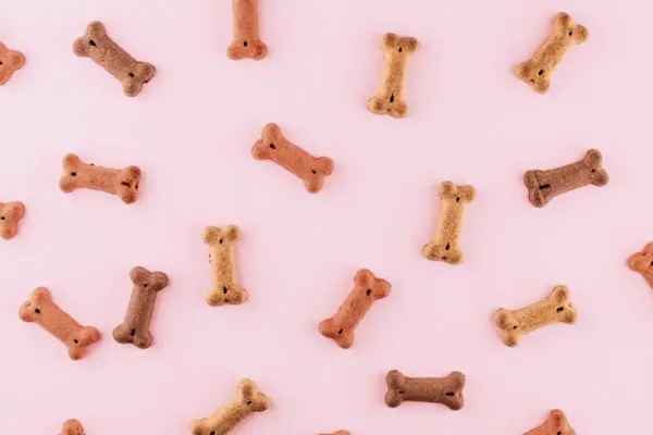Petiscos naturais para cães
